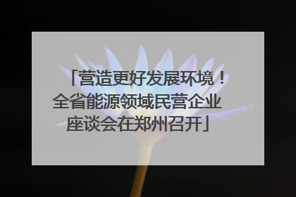 营造更好发展环境！全省能源领域民营企业座谈会在郑州召开