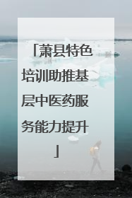 萧县特色培训助推基层中医药服务能力提升