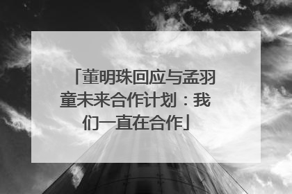 董明珠回应与孟羽童未来合作计划：我们一直在合作