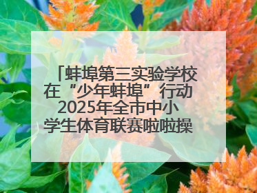 蚌埠第三实验学校在“少年蚌埠”行动2025年全市中小学生体育联赛啦啦操比赛中获佳绩