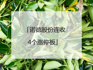 诺德股份连收4个涨停板