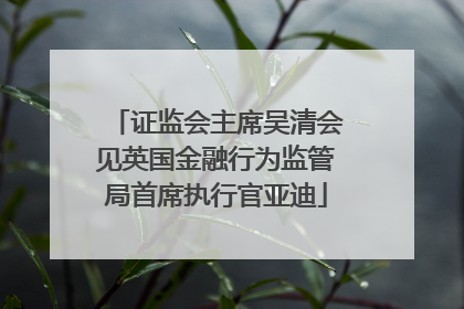 证监会主席吴清会见英国金融行为监管局首席执行官亚迪
