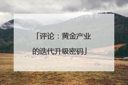 评论：黄金产业的迭代升级密码