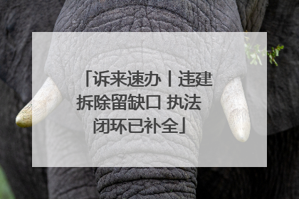 诉来速办丨违建拆除留缺口 执法闭环已补全