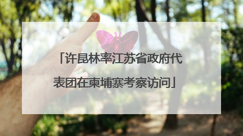 许昆林率江苏省政府代表团在柬埔寨考察访问