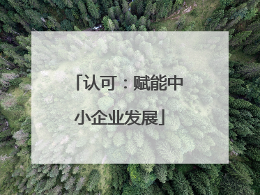 认可：赋能中小企业发展