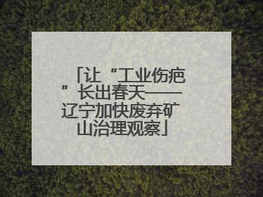 让“工业伤疤”长出春天——辽宁加快废弃矿山治理观察