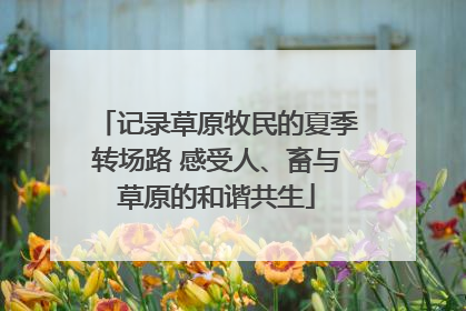 记录草原牧民的夏季转场路 感受人、畜与草原的和谐共生