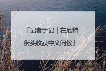 记者手记｜在厄特街头收获中文问候