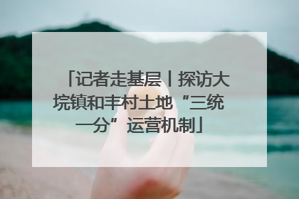记者走基层丨探访大垸镇和丰村土地“三统一分”运营机制