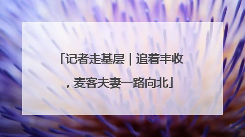 记者走基层｜追着丰收，麦客夫妻一路向北