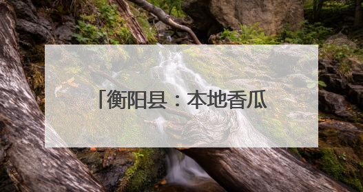 衡阳县：本地香瓜抢“鲜”上市 农旅融合助力乡村振兴