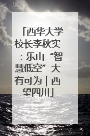 西华大学校长李秋实：乐山“智慧低空”大有可为｜西望四川