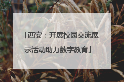 西安：开展校园交流展示活动助力数字教育