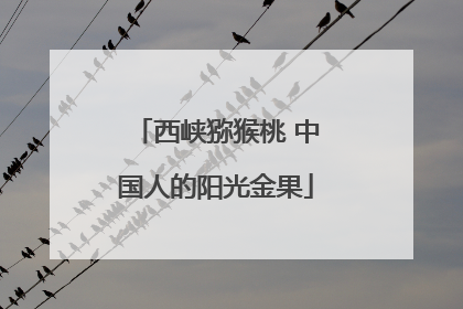 西峡猕猴桃 中国人的阳光金果
