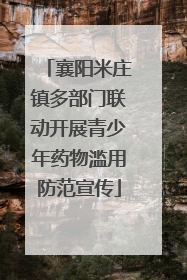 襄阳米庄镇多部门联动开展青少年药物滥用防范宣传