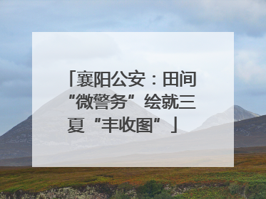 襄阳公安：田间“微警务”绘就三夏“丰收图”