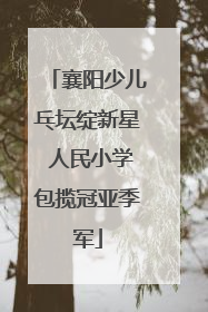 襄阳少儿乓坛绽新星 人民小学包揽冠亚季军