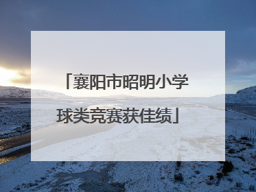 襄阳市昭明小学球类竞赛获佳绩