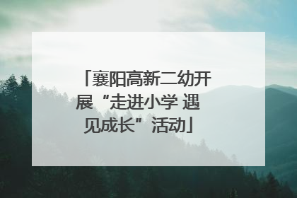 襄阳高新二幼开展“走进小学 遇见成长”活动