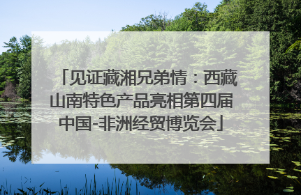见证藏湘兄弟情：西藏山南特色产品亮相第四届中国-非洲经贸博览会
