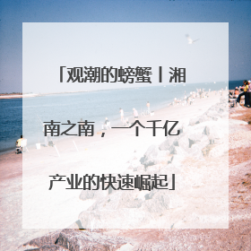 观潮的螃蟹丨湘南之南，一个千亿产业的快速崛起