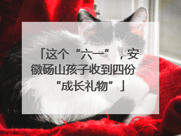 这个“六一”，安徽砀山孩子收到四份“成长礼物”