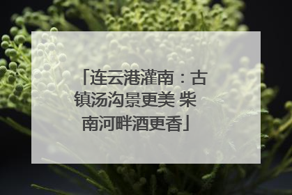 连云港灌南：古镇汤沟景更美 柴南河畔酒更香