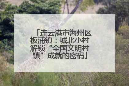连云港市海州区板浦镇：城北小村解锁“全国文明村镇”成就的密码