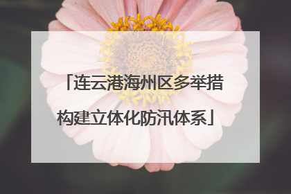 连云港海州区多举措构建立体化防汛体系