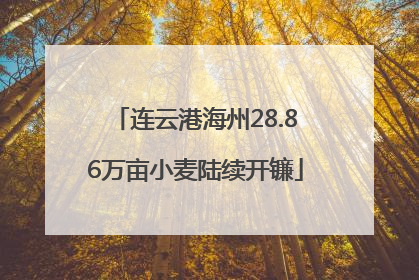 连云港海州28.86万亩小麦陆续开镰