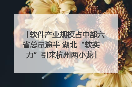软件产业规模占中部六省总量逾半 湖北“软实力”引来杭州两小龙
