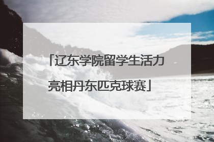 辽东学院留学生活力亮相丹东匹克球赛