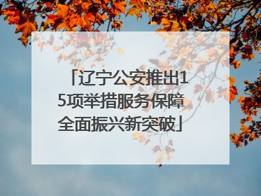 辽宁公安推出15项举措服务保障全面振兴新突破
