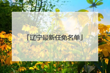 辽宁最新任免名单