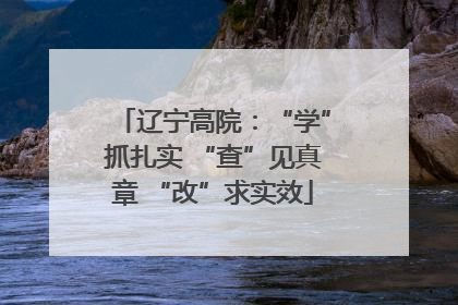 辽宁高院：“学”抓扎实 “查”见真章 “改”求实效