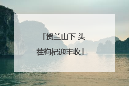 贺兰山下 头茬枸杞迎丰收