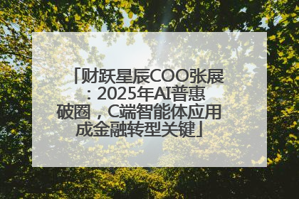 财跃星辰COO张展：2025年AI普惠破圈，C端智能体应用成金融转型关键
