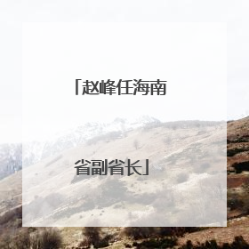 赵峰任海南省副省长