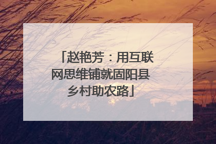 赵艳芳：用互联网思维铺就固阳县乡村助农路