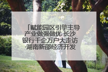 赋能园区引擎主导产业做强做优 长沙银行千企万户大走访·湖南新邵经济开发区专场活动举行
