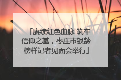 赓续红色血脉 筑牢信仰之基，枣庄市银龄榜样记者见面会举行