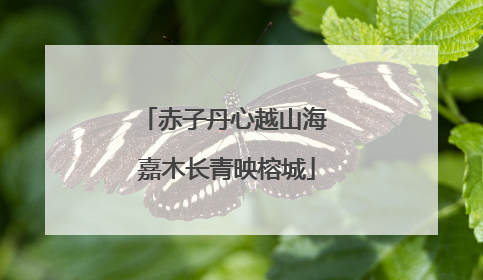 赤子丹心越山海 嘉木长青映榕城