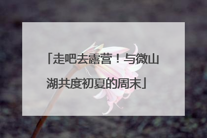 走吧去露营！与微山湖共度初夏的周末
