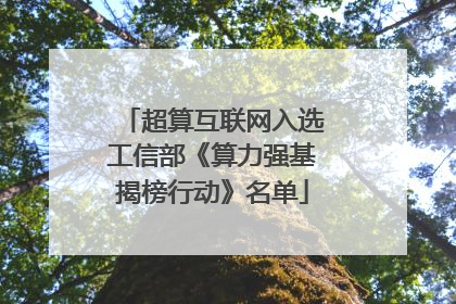 超算互联网入选工信部《算力强基揭榜行动》名单
