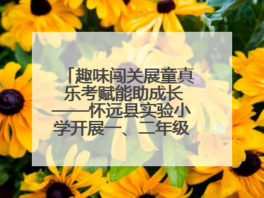 趣味闯关展童真 乐考赋能助成长——怀远县实验小学开展一、二年级无纸化测评活动