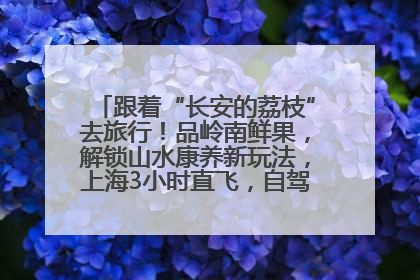 跟着“长安的荔枝”去旅行！品岭南鲜果，解锁山水康养新玩法，上海3小时直飞，自驾高速费优惠