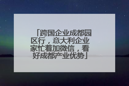 跨国企业成都园区行，意大利企业家忙着加微信，看好成都产业优势