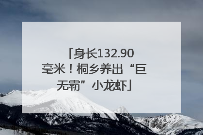 身长132.90毫米！桐乡养出“巨无霸”小龙虾