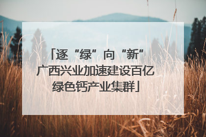 逐“绿”向“新” 广西兴业加速建设百亿绿色钙产业集群